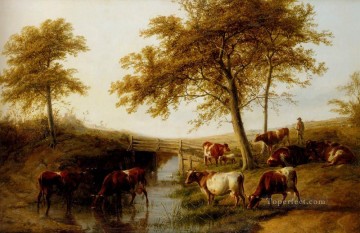  Cooper Pintura - Ganado descansando junto a un arroyo animales de granja Thomas Sidney Cooper